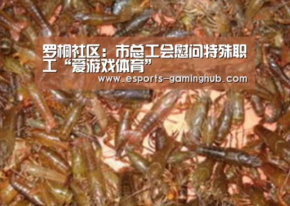 足球即时比分