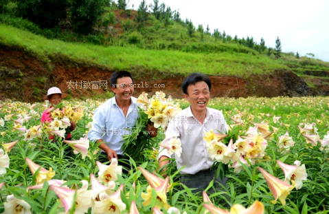 爱游戏体育