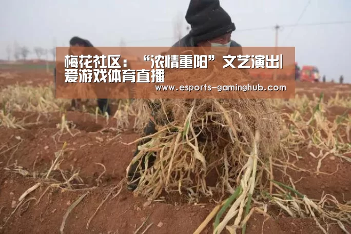 梅花社区:“浓情重阳”文艺演出|爱游戏体育直播(图1) 足球即时比分