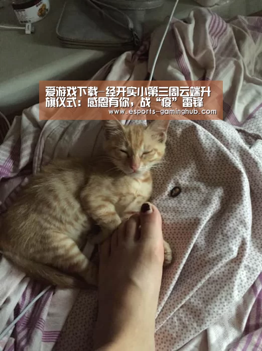 爱游戏下载-经开实小第三周云端升旗仪式:感恩有你,战“疫”雷锋(图3) 爱游戏体育直播