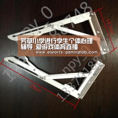 芳草小学进行学生个体心理辅导_爱游戏体育直播(图3) 足球即时比分