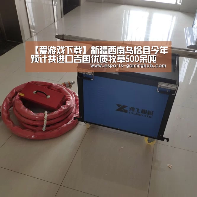 【爱游戏下载】新疆西南乌恰县今年预计共进口吉国优质牧草500余吨(图3) 足球即时比分
