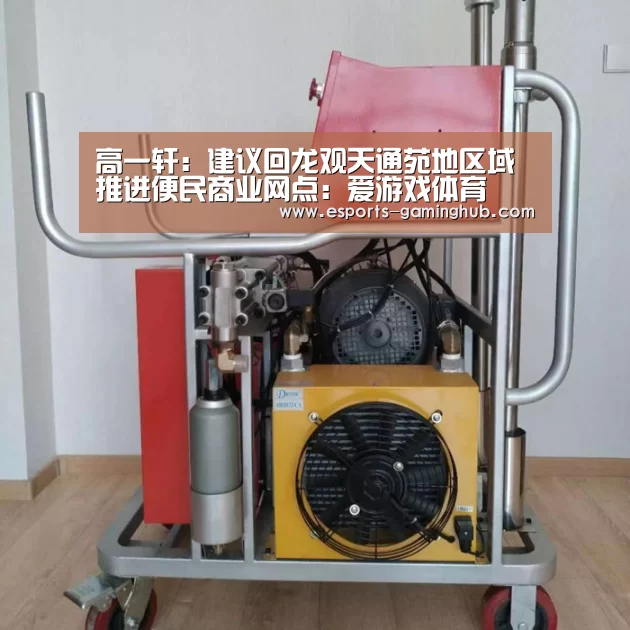 高一轩:建议回龙观天通苑地区域推进便民商业网点:爱游戏体育(图2) 爱游戏下载