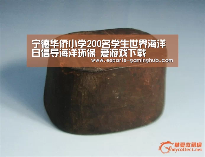 宁德华侨小学200名学生世界海洋日倡导海洋环保_爱游戏下载(图2) 爱游戏体育
