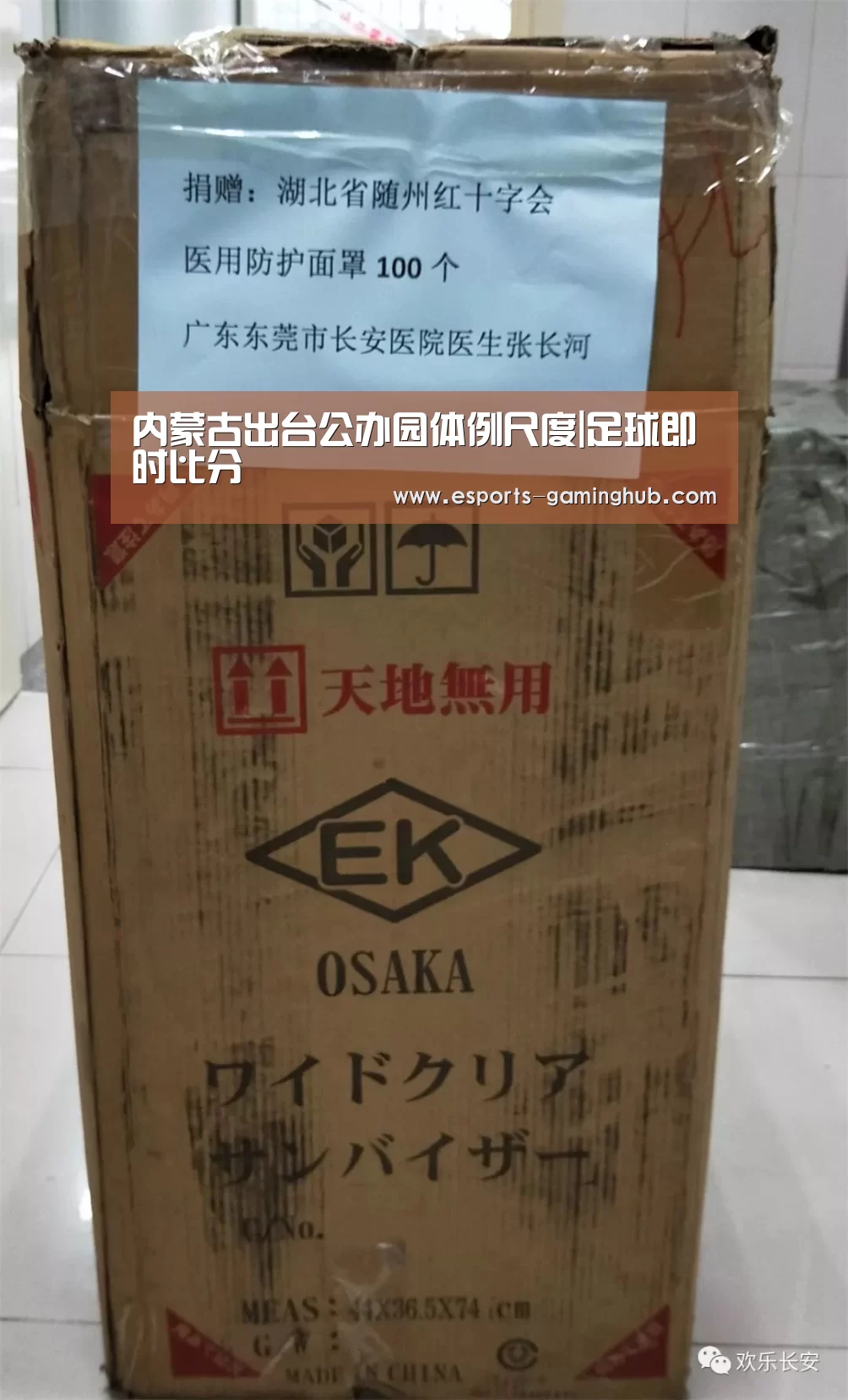 内蒙古出台公办园体例尺度|足球即时比分(图1) 爱游戏下载