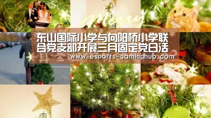 东山国际小学与向阳桥小学联合党支部开展三月固定党日活动‘爱游戏体育直播’(图1) 足球即时比分